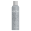 ABBA Detox Shampoo 8oz / 236ml - Click for more info