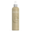 ABBA Curl Finish Hair Spray 8oz / 236ml - Click for more info