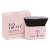 Tan Truth Blending Brush - Click for more info