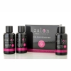 Zalon Pro London Colour Remover Kit - Click for more info